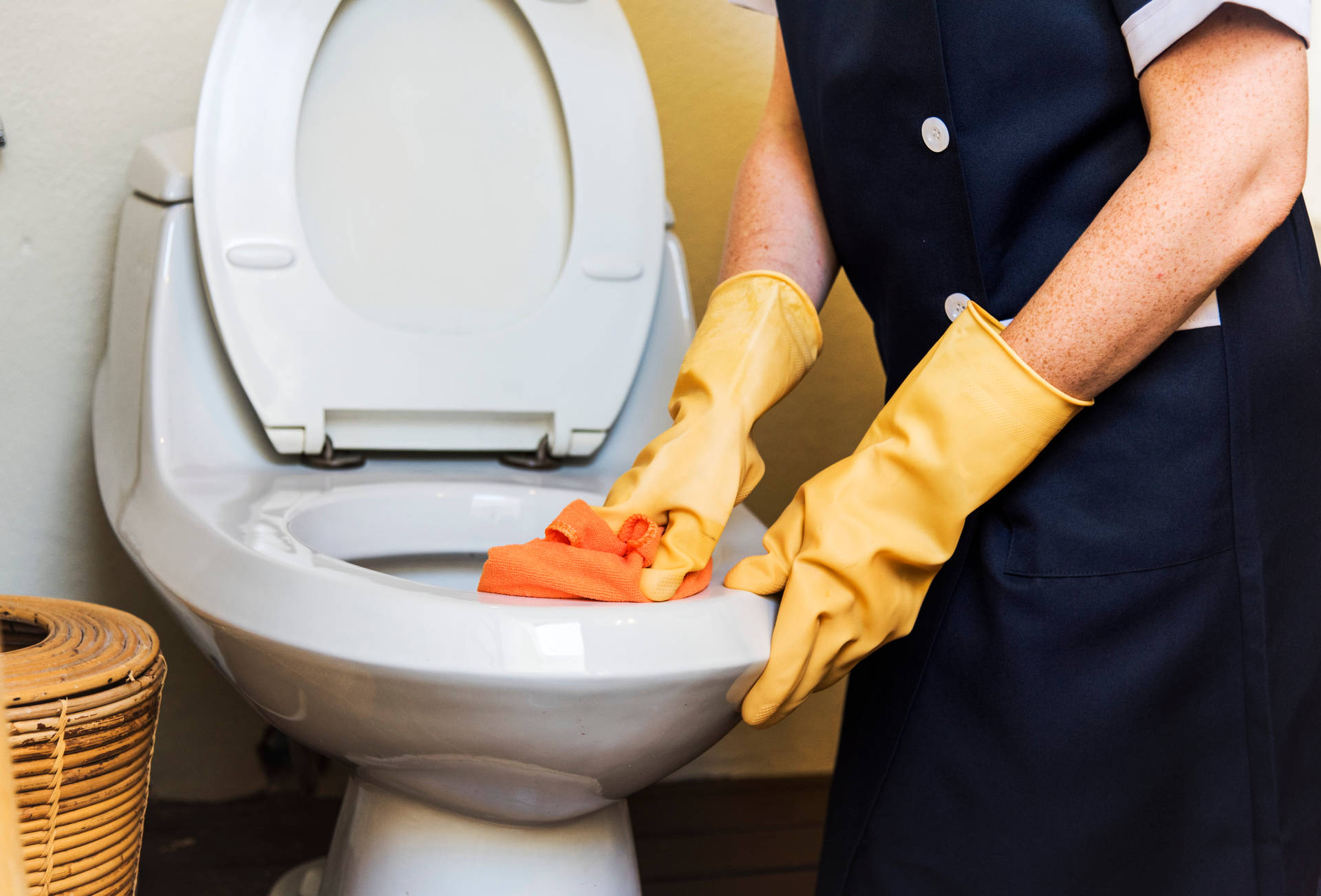 Person Scrubbing Toilet House Cleaning Wallpaper