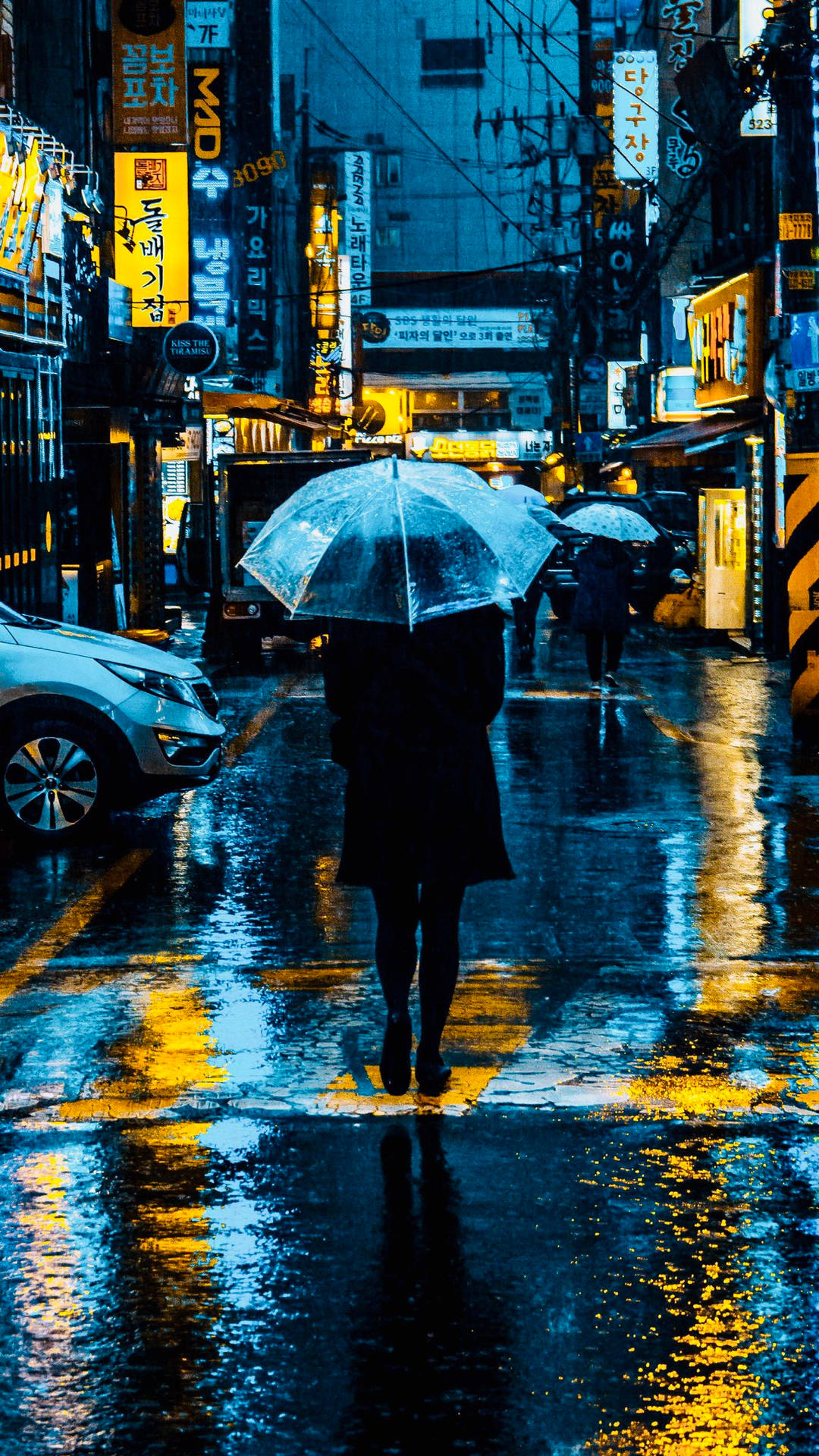 Person Walking After A Beautiful Rain Wallpaper