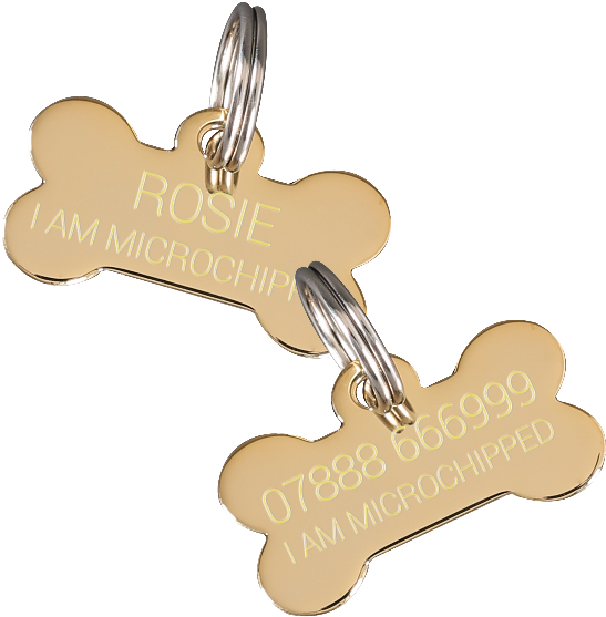 Personalized Dog Bone I D Tags PNG