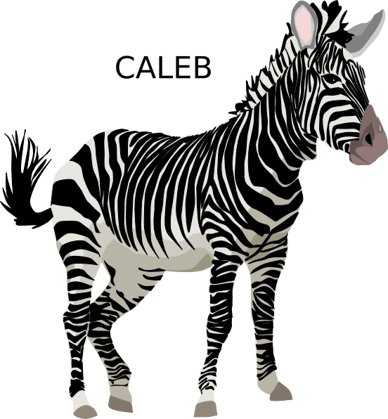 Personalized Zebra Illustration Caleb PNG
