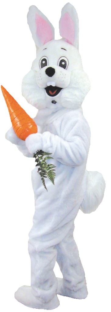 Personin Bunny Costume Holding Carrot PNG