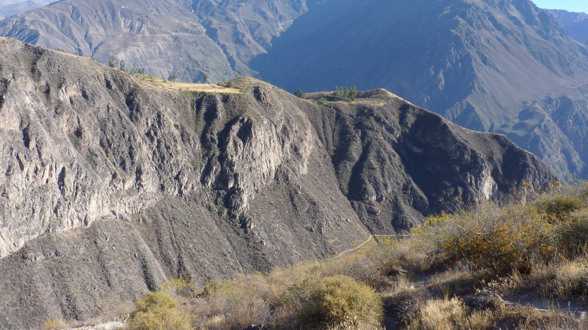 Peru Colca Canyon Landskabsbaggrundsbillede Wallpaper