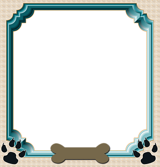 Pet Themed Photo Frame PNG