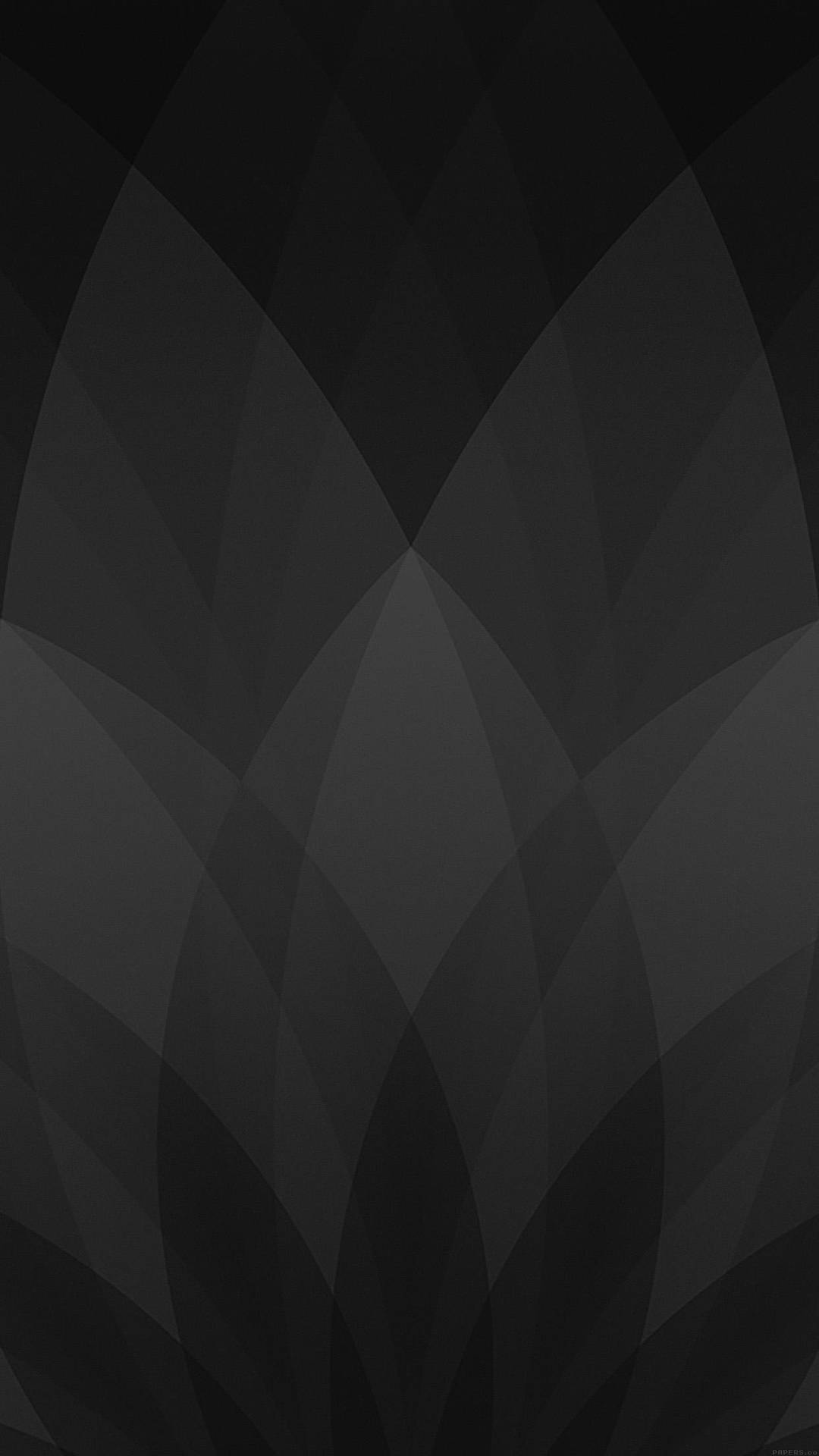Petals Design Black And Grey Iphone Wallpaper