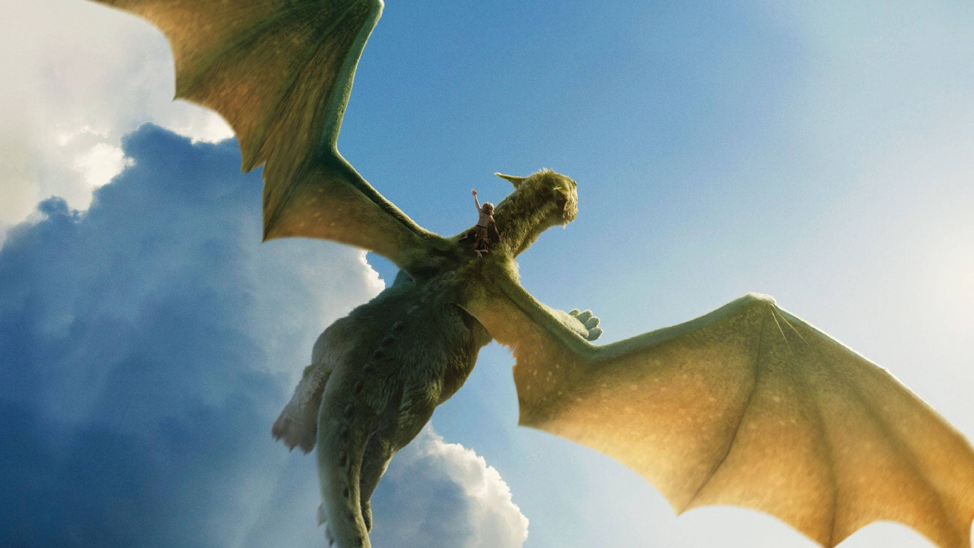 Pete's Dragon Going Up Wallpaper