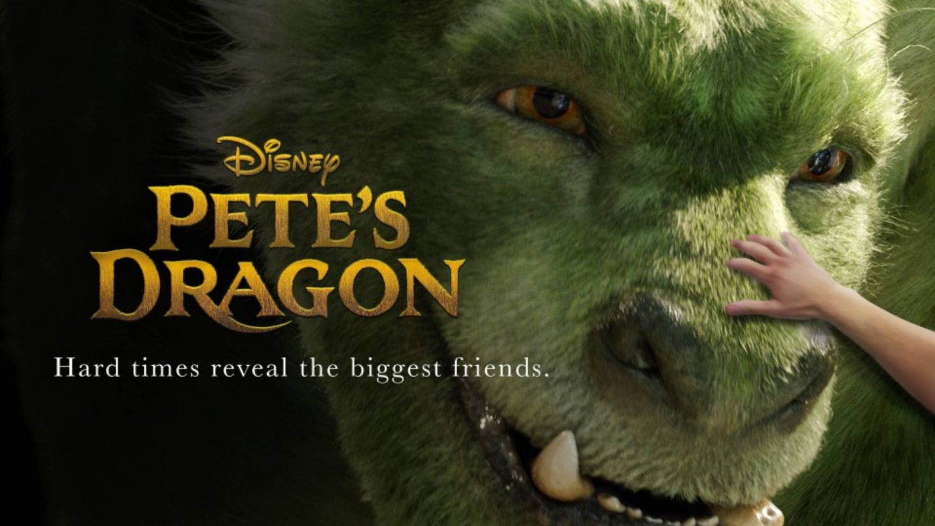 Pete's Dragon With Hand On Nose Wallpaper