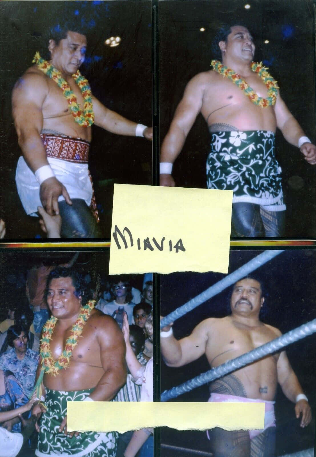 Peter Maivia's Wrestling Collage Wallpaper