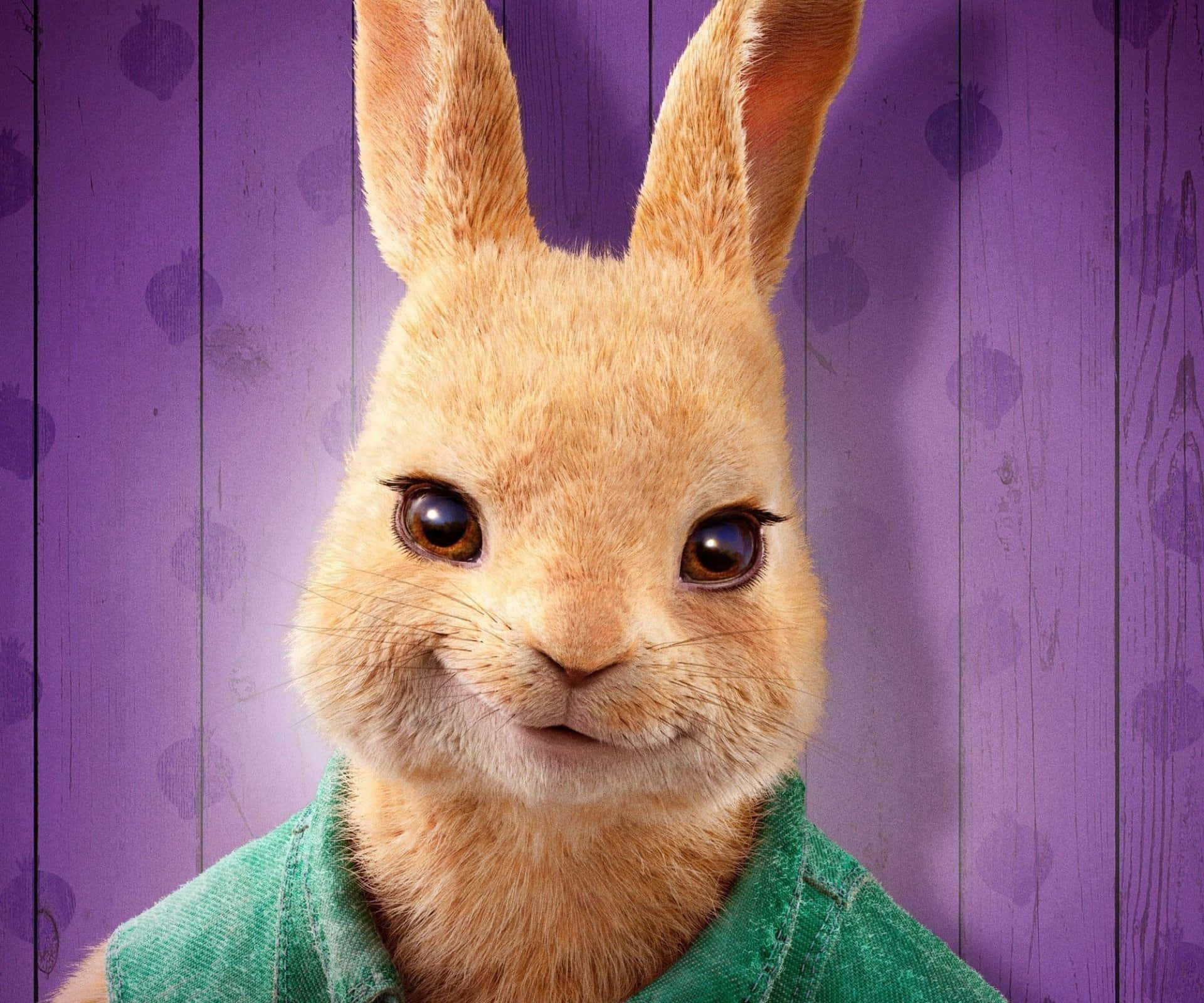 Peter Rabbit Close Up Portrait Wallpaper