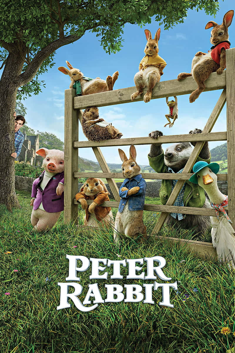 Peter Rabbit Movie Poster Wallpaper