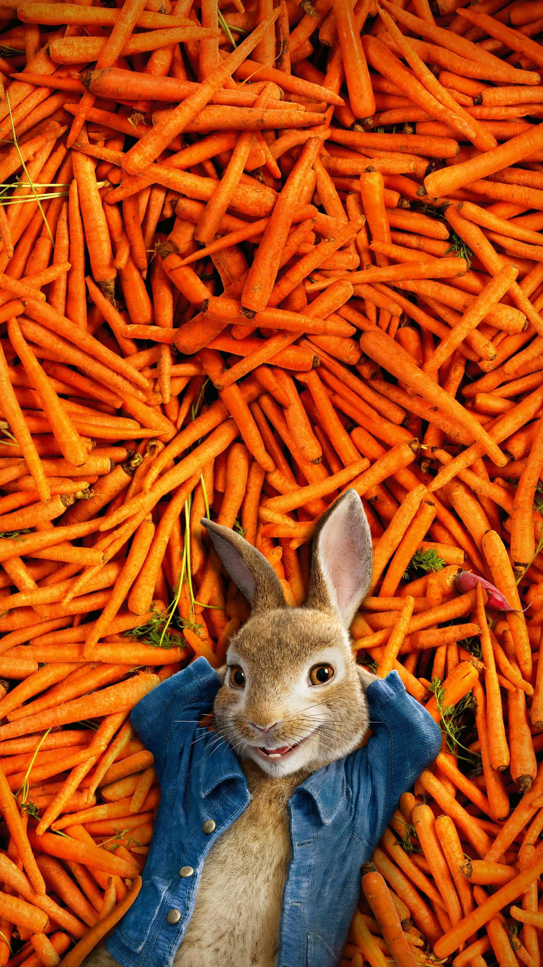 Peter Rabbit Surroundedby Carrots Wallpaper