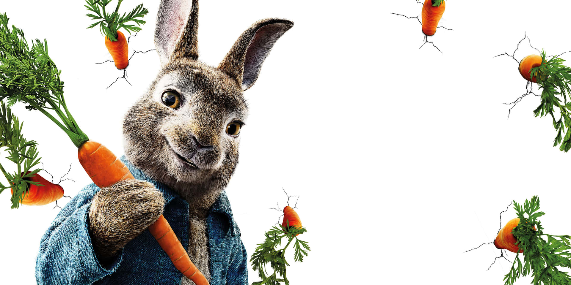 Peter Rabbit With Carrots Wallpaper