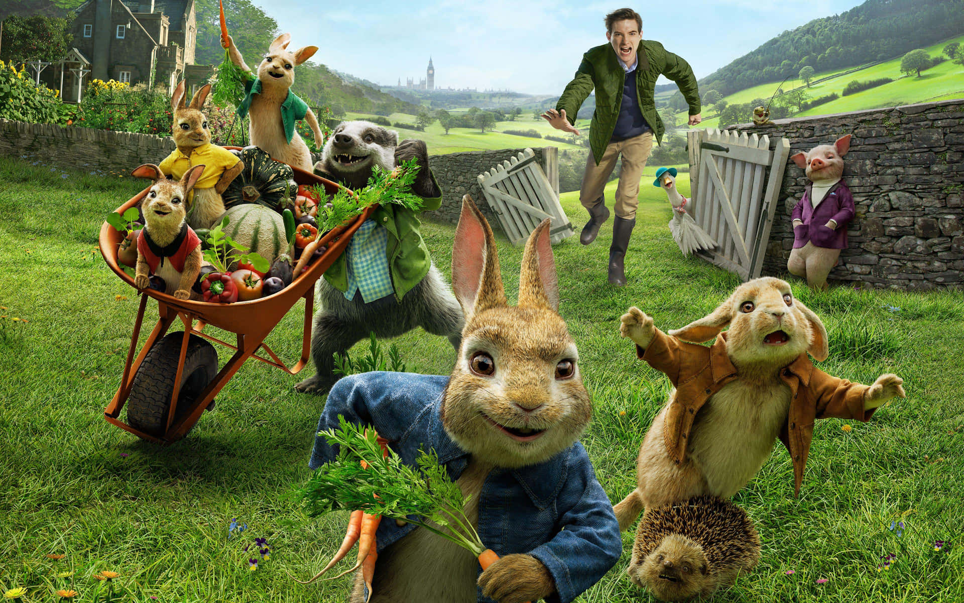 Peter Rabbitand Friends Adventure Wallpaper