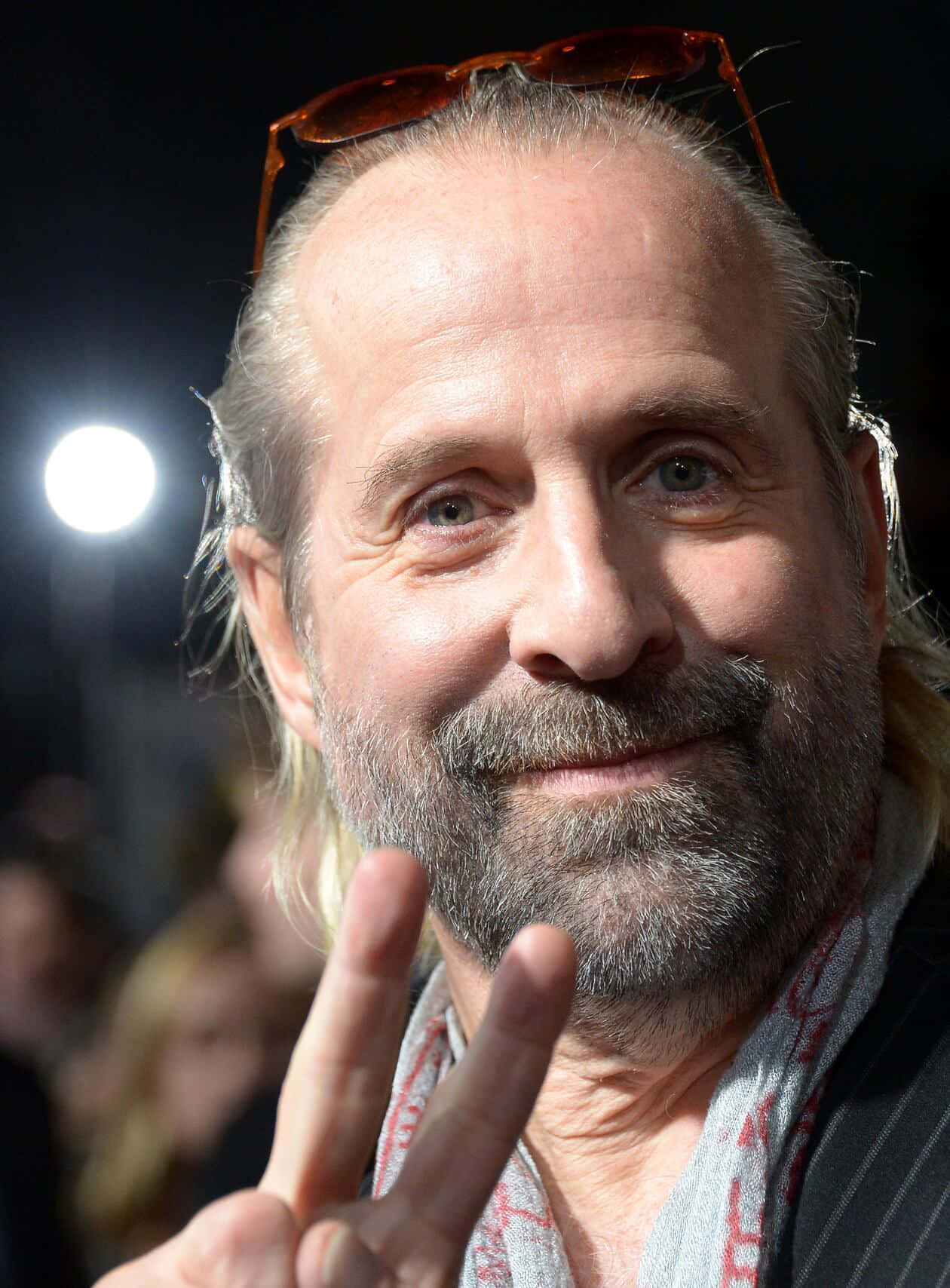 actor Peter Stormare Wallpaper