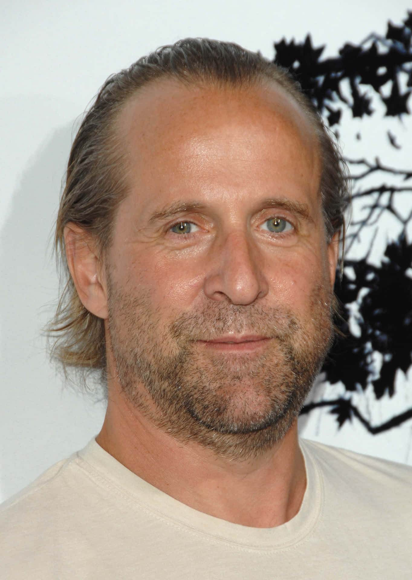 Actor Peter Stormare brings his iconic presence to the world of film and television. Wallpaper