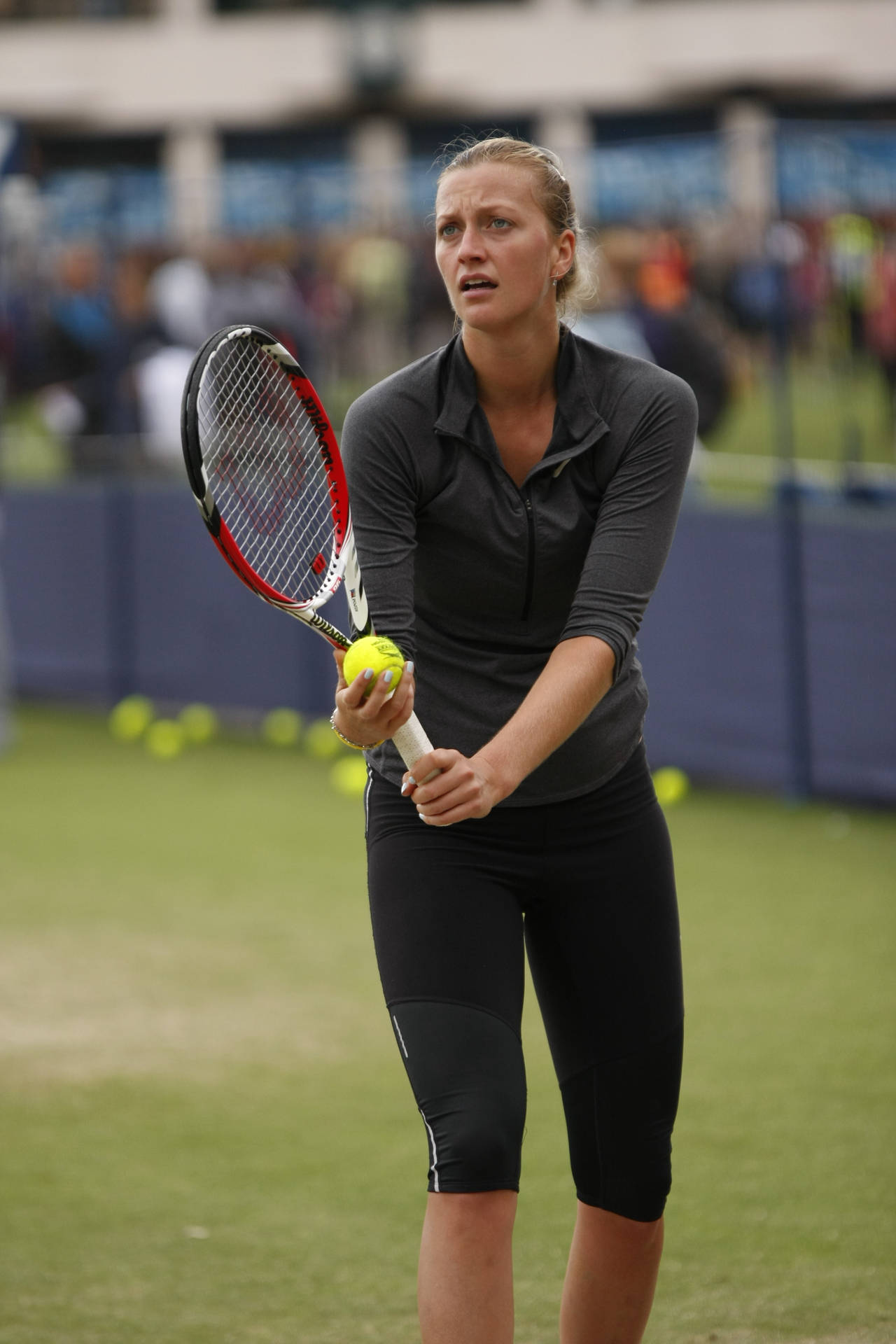 Petrakvitova Sosteniendo Una Raqueta De Tenis Fondo de pantalla