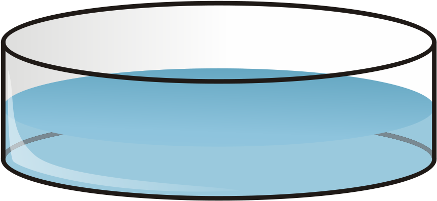 Petri Dish Vector Illustration PNG