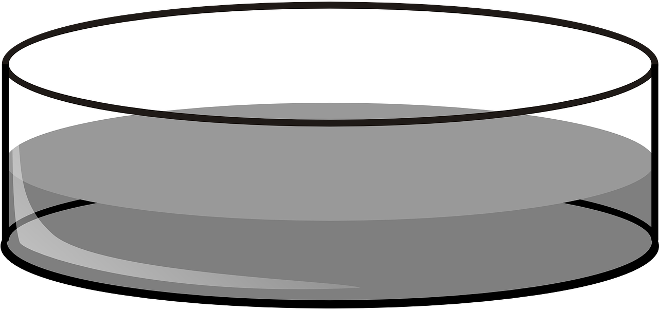 Petri Dish Vector Illustration PNG