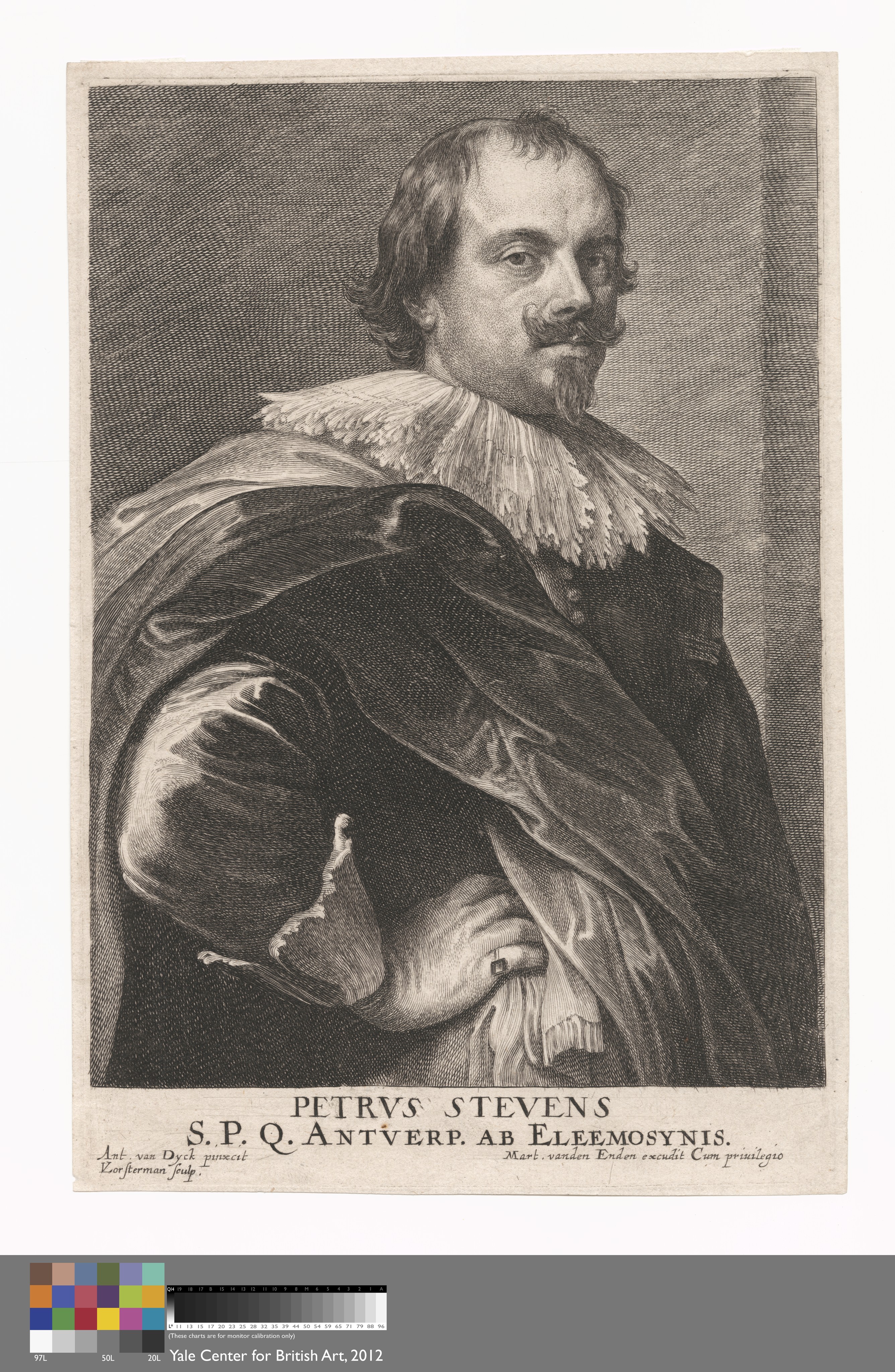 Petrus Stevens Wallpaper