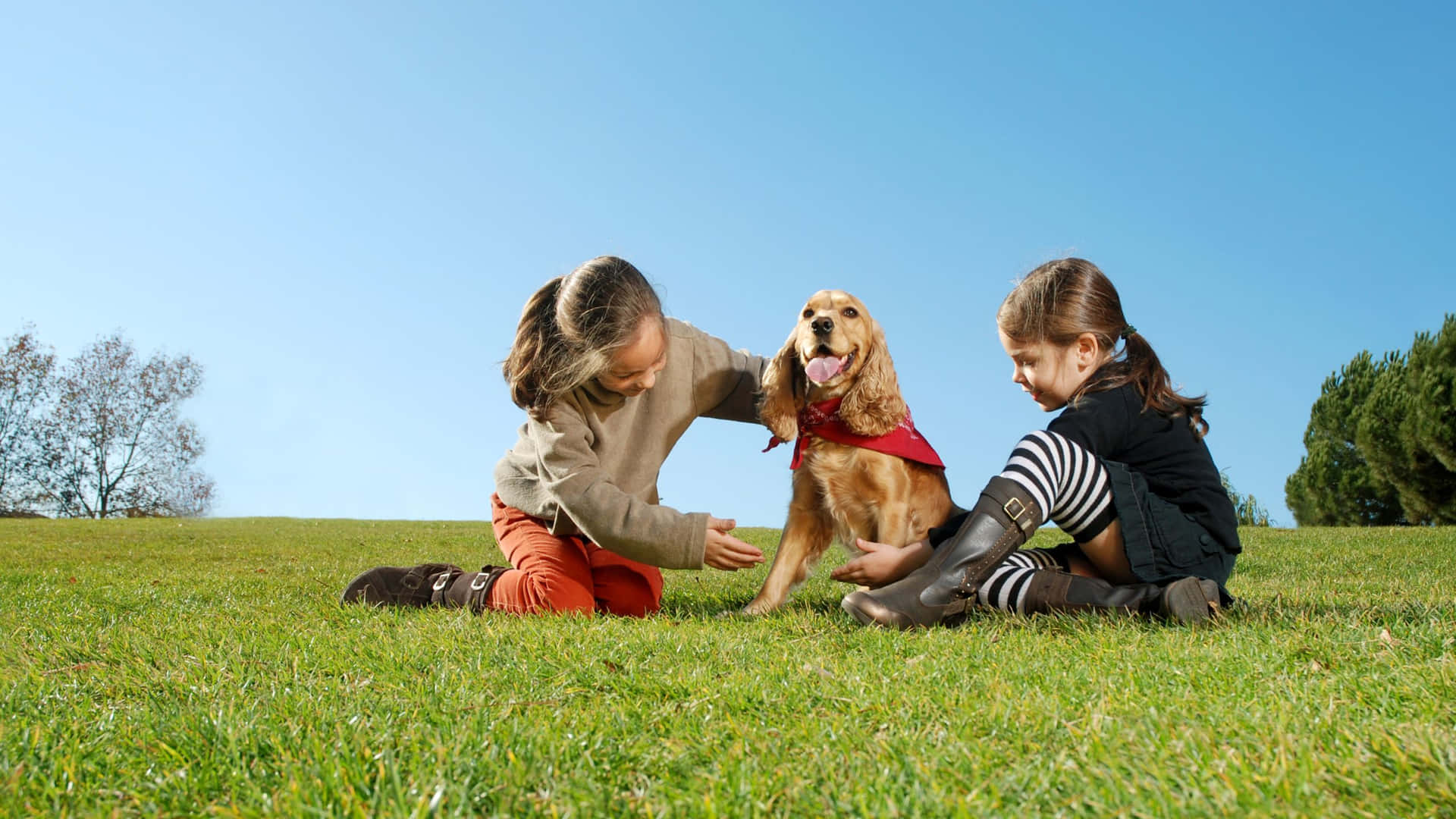 Three Children Playing With A Dog In The Grass