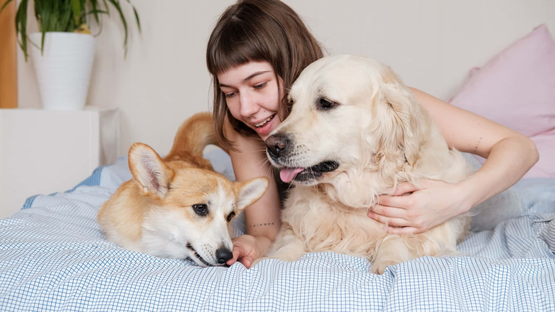 A Woman Is Petting Her Dog While Sitting On A Bed
