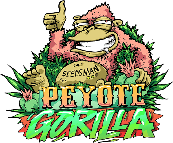 Download Peyote Gorilla Cartoon | Wallpapers.com