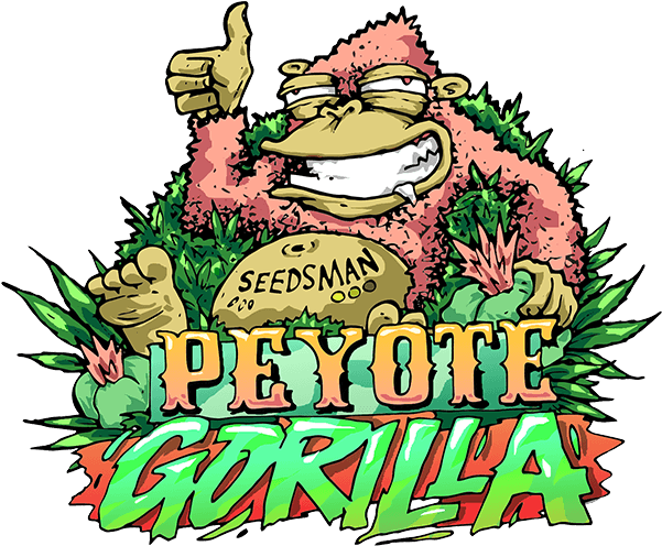 Peyote Gorilla Cartoon PNG