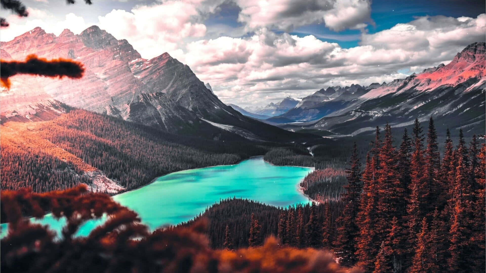 Stupefacentevista Sul Lago Peyto Nel Cuore Delle Montagne Rocciose Canadesi Sfondo
