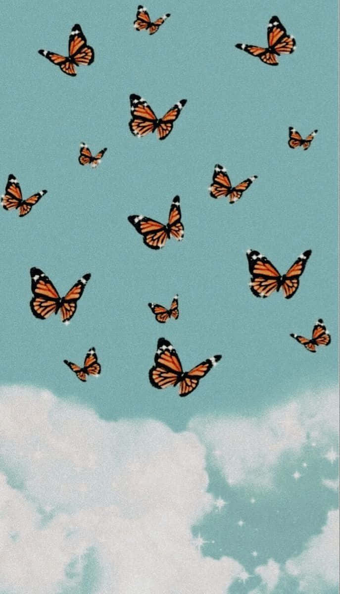 Pfp Butterflies Teal Pastel Sky Background