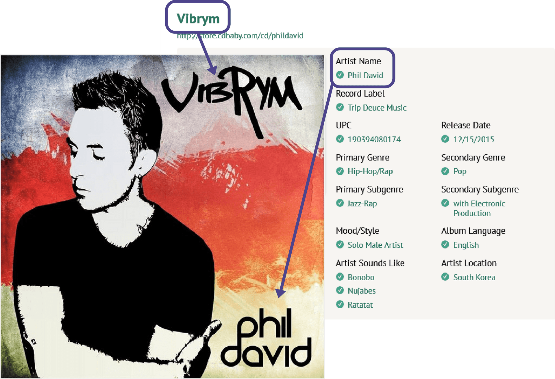 Phil David Vibrym Album Artwork PNG