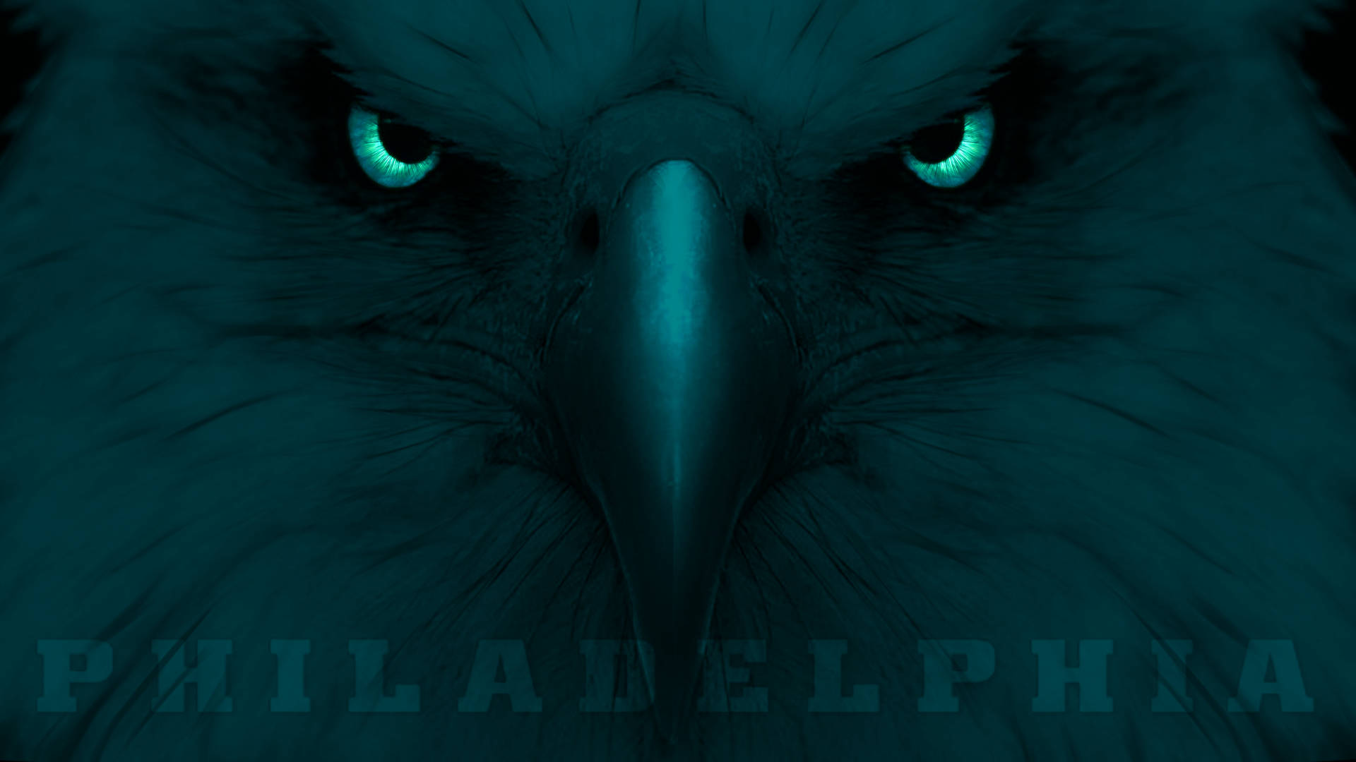 Philadelphia Eagles' Eagle Eye Wallpaper