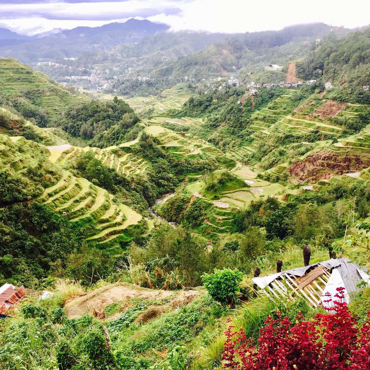 Breathtaking View of the Historical Banaue Rice Terraces Wallpaper