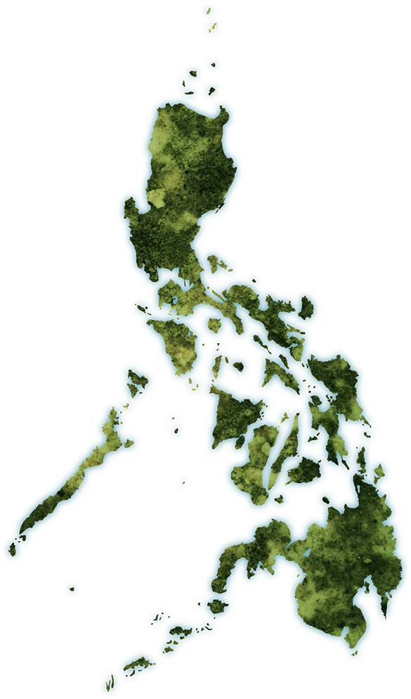 Philippines Topographic Map PNG
