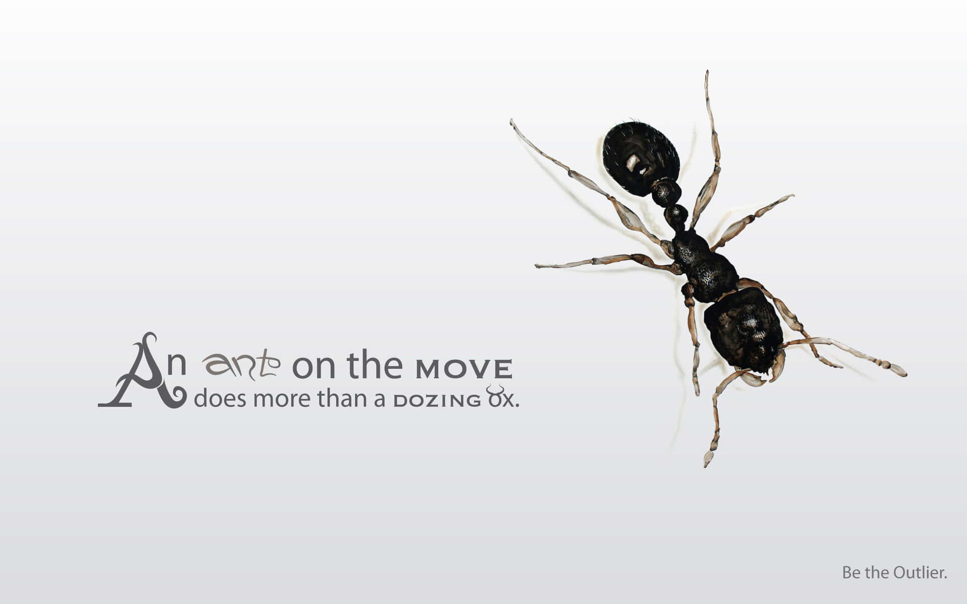 Philosophical Ant Artwork Wallpaper