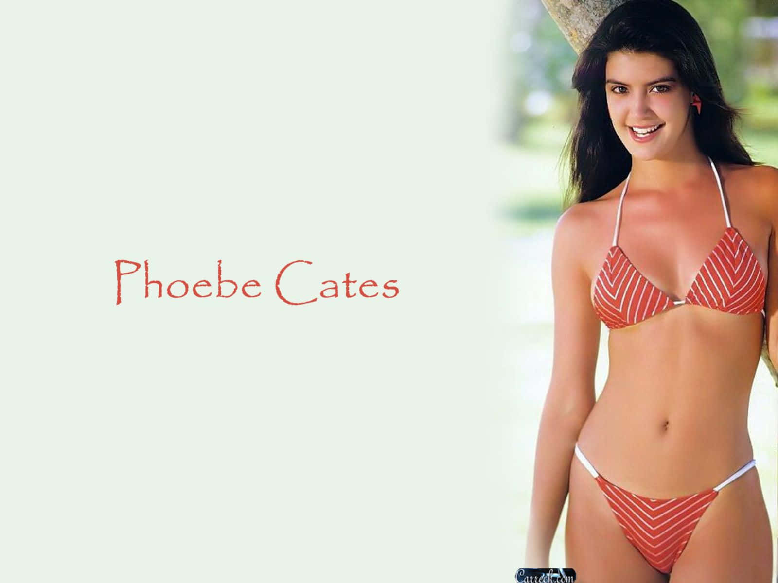 Phoebe Cates striking a pose in an elegant dress Wallpaper