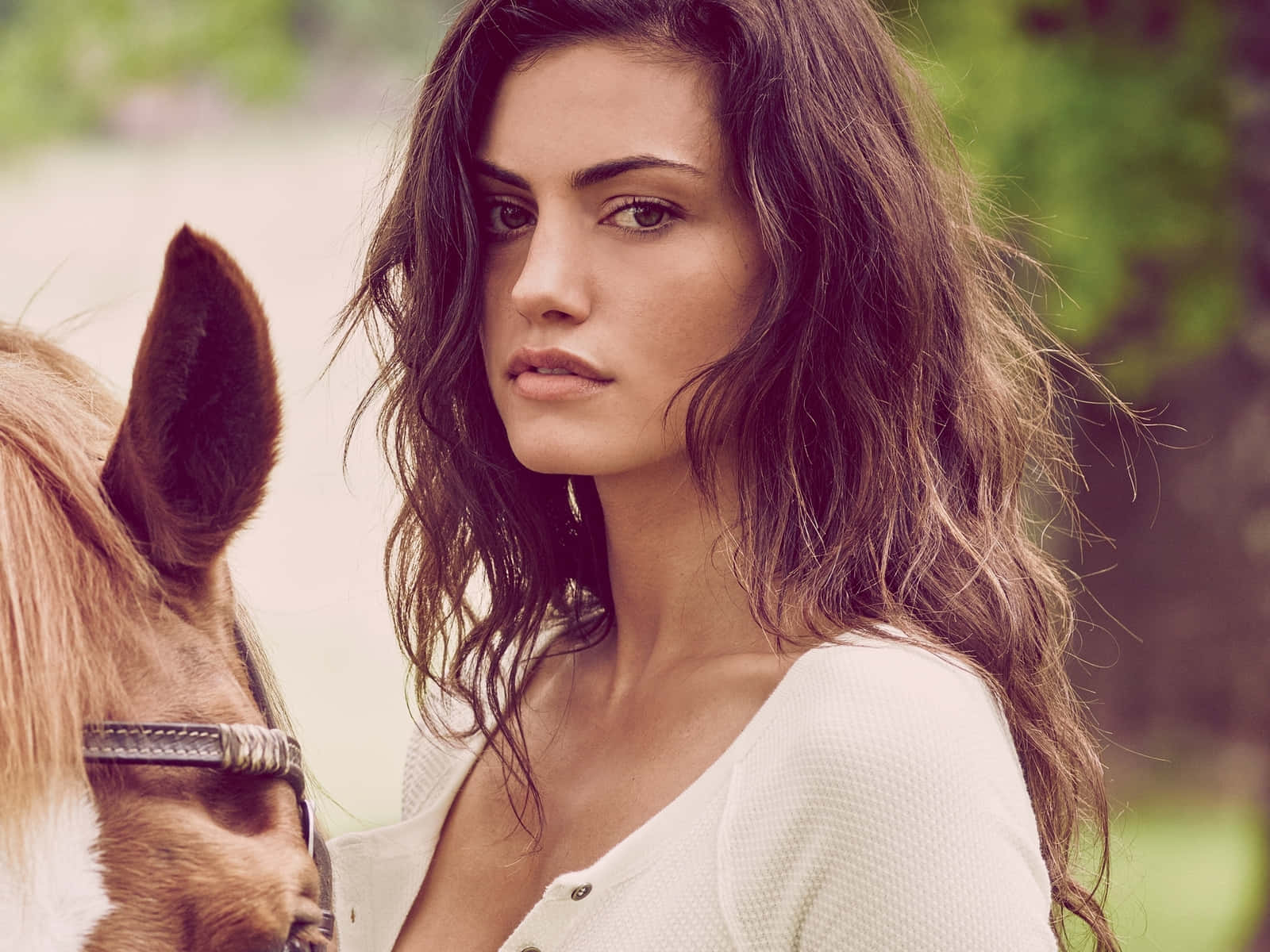 Phoebe Tonkin Equestrian Elegance Bakgrunnsbildet