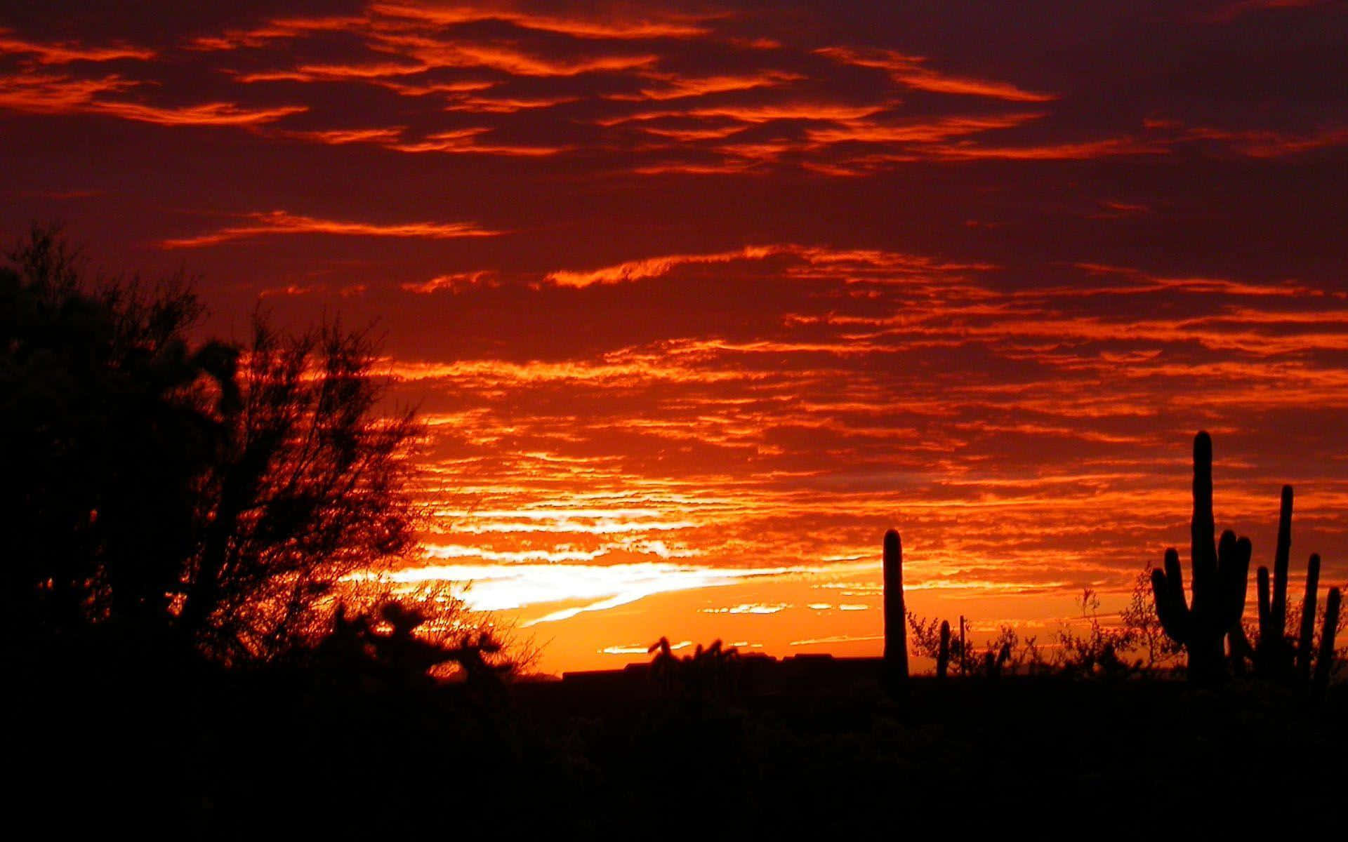 Godendodei Bellissimi Panorami Di Phoenix, Arizona Sfondo