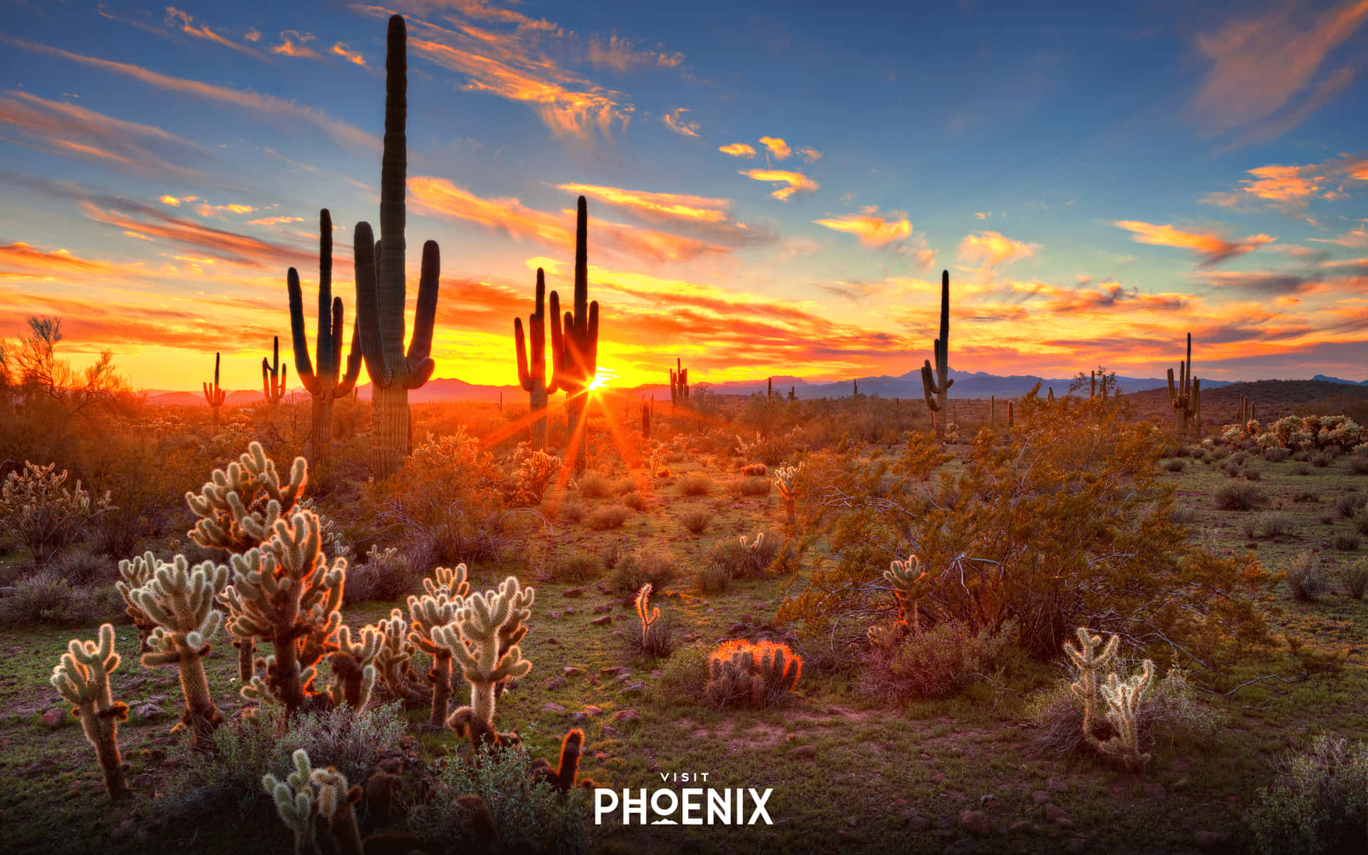 Bildphoenix Arizona Skyline Bei Sonnenuntergang Wallpaper