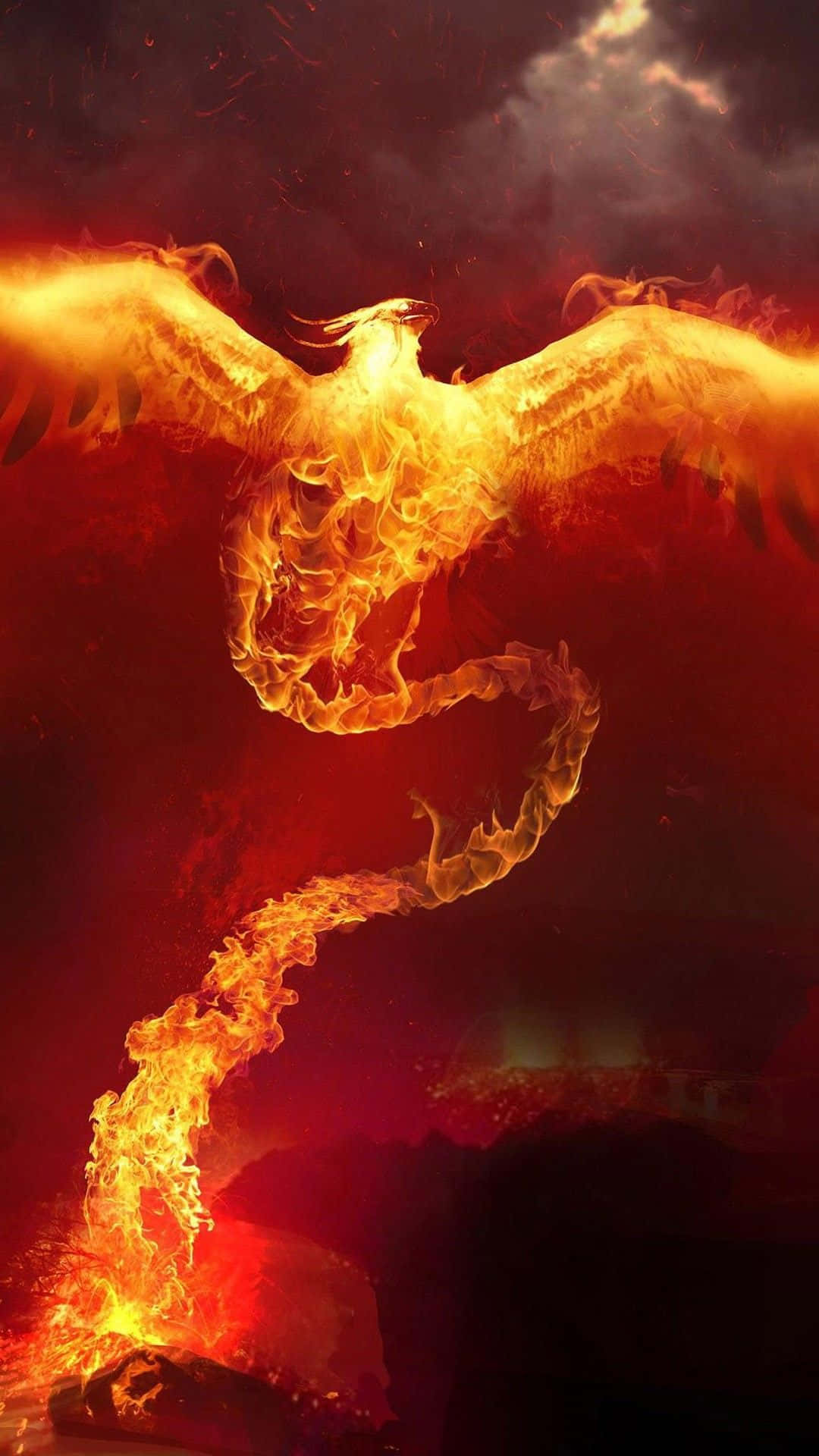 Discover the magic and mystery of Phoenix
