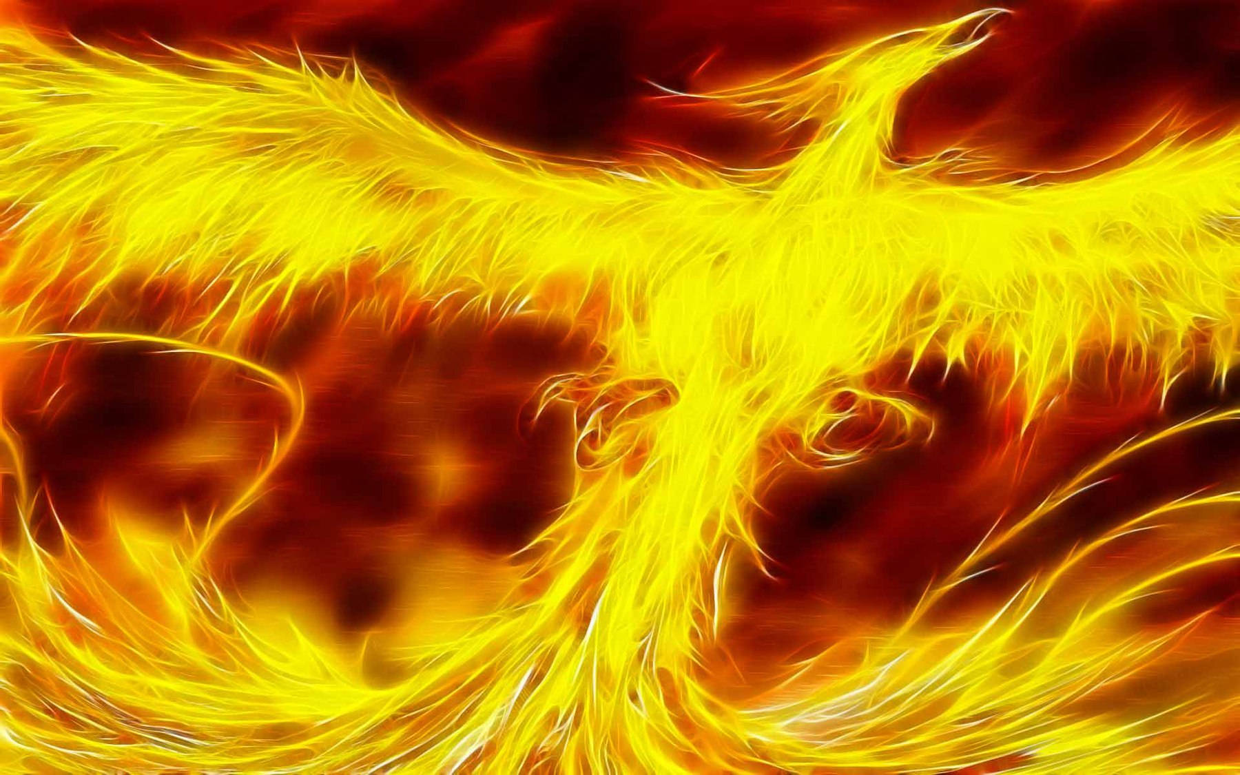 Phoenix Fire Wings Wallpaper