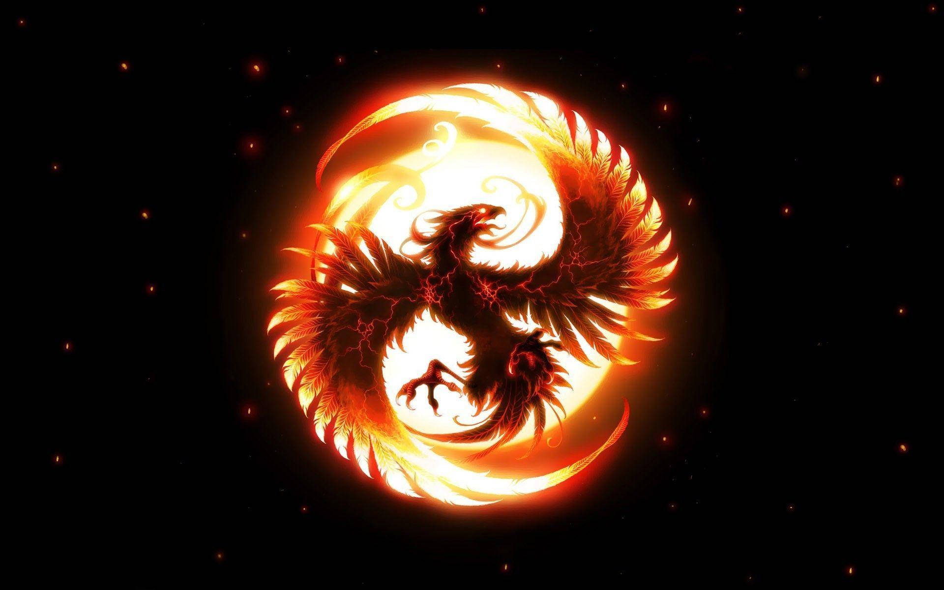 Phoenix Fireball Art Hd