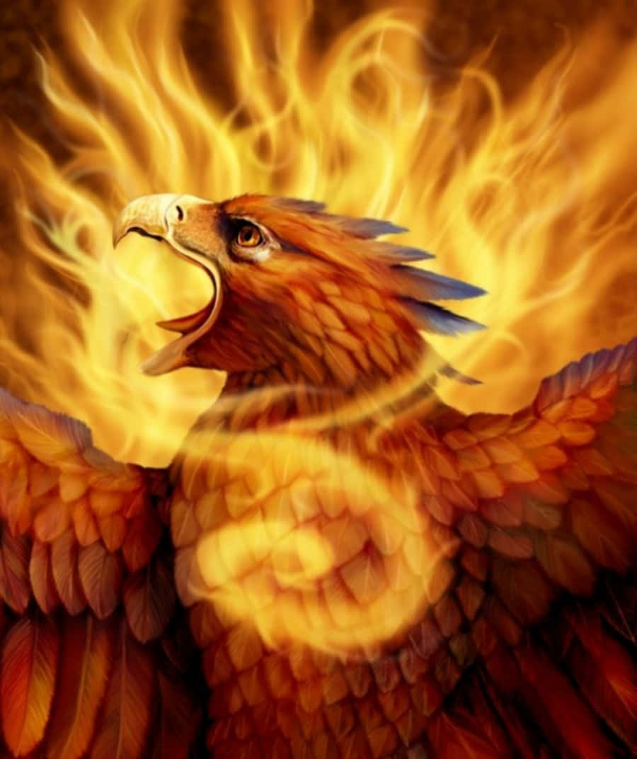 The Phoenix Rises From the Desert
