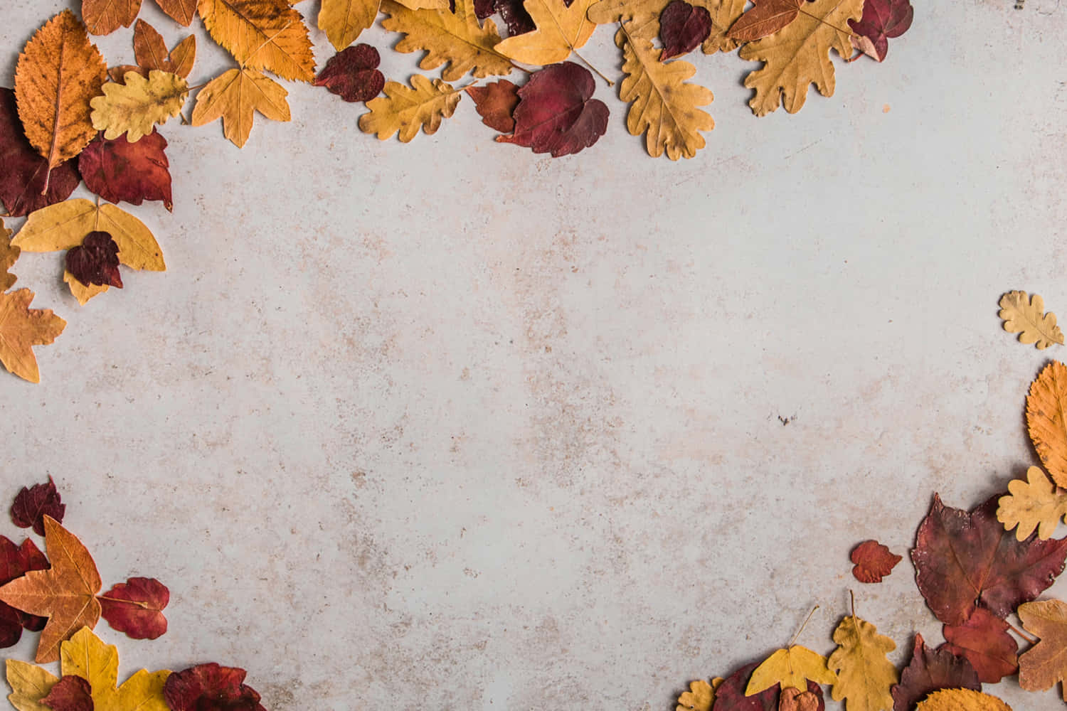 Autumn Leaves Arranged In A Heart Shape On A Concrete Background