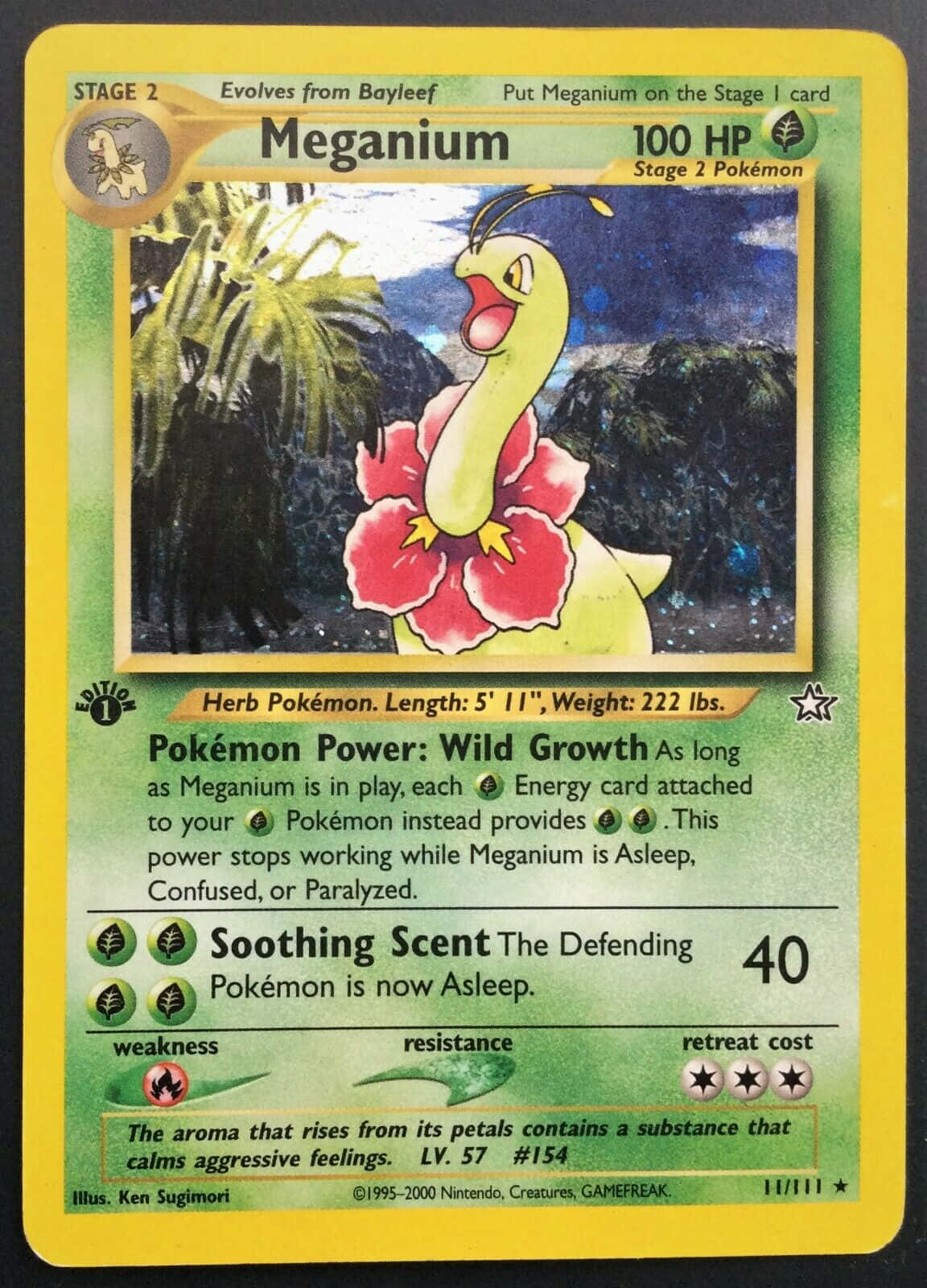 Photo Of Meganium Pokemon Trading Card Wallpaper