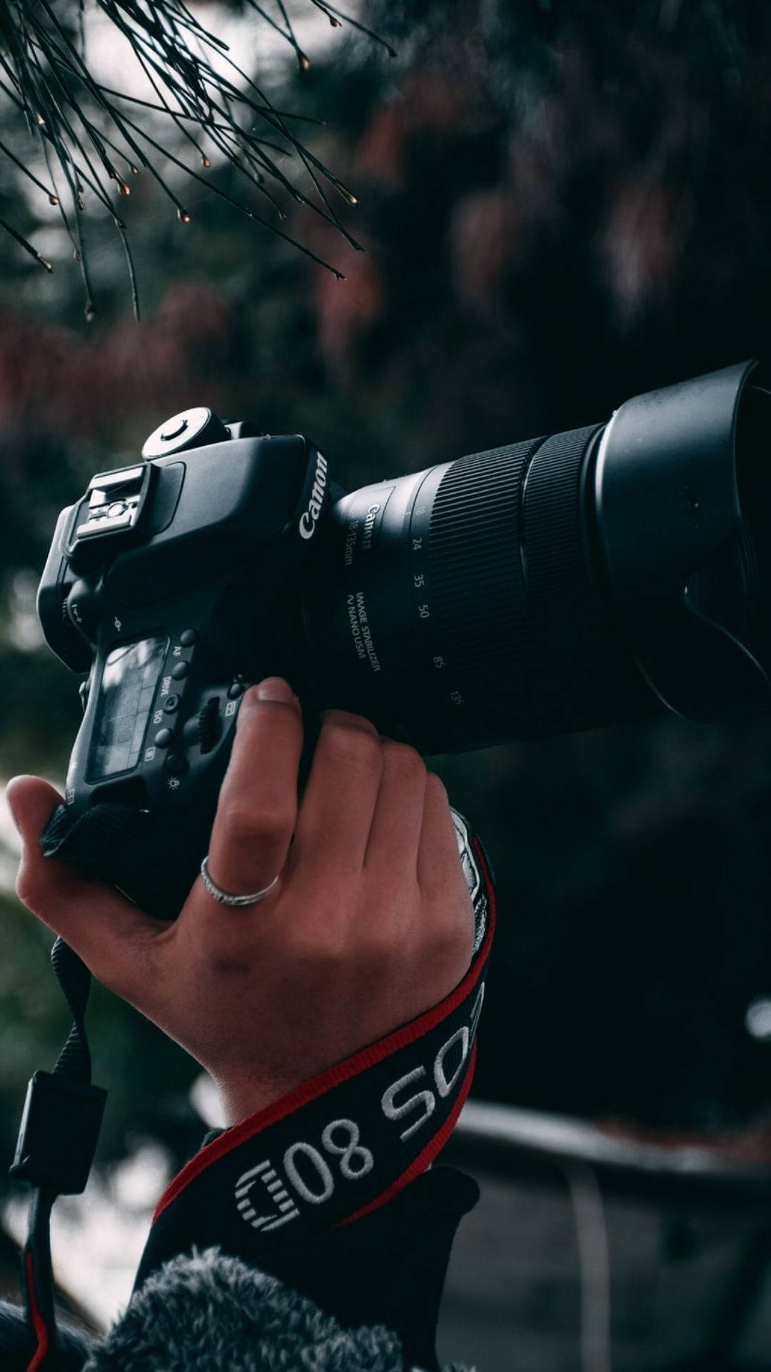Photographer Holding A Camera Wallpaper