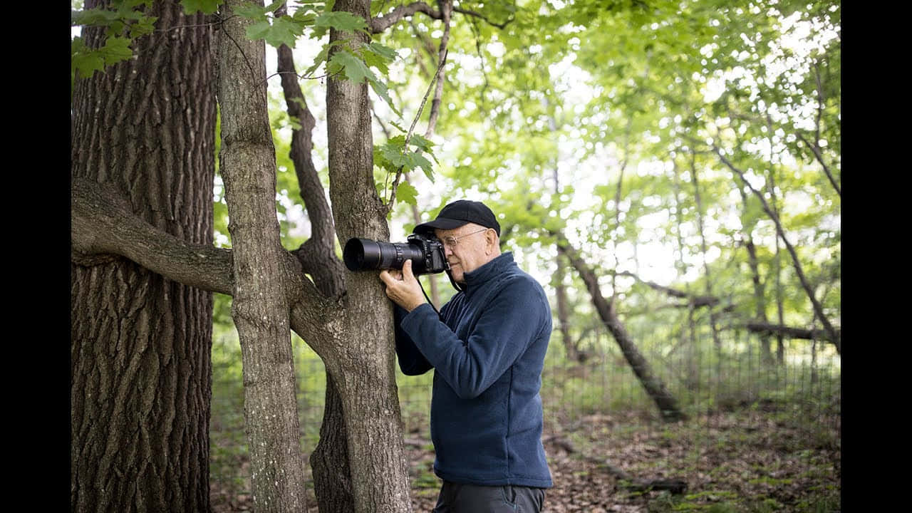 Unhombre Está Tomando Fotos De Un Árbol En El Bosque.