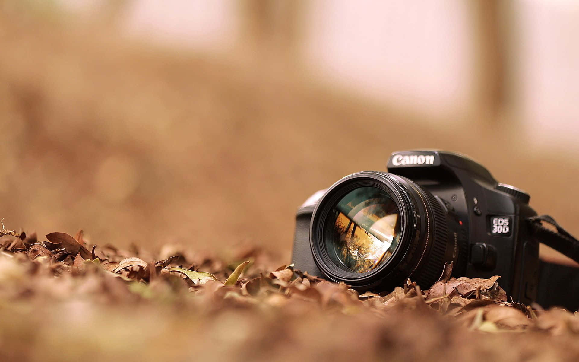 A Camera Is Laying On The Ground With Leaves Around It Wallpaper