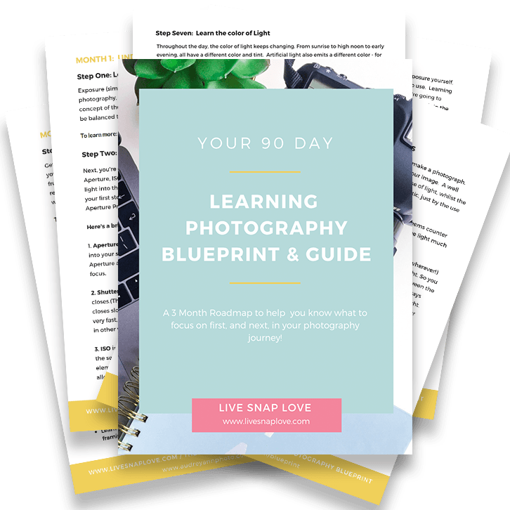 Photography Learning Blueprint Guide PNG
