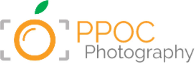 Photography Logo Orangeand Gray PNG