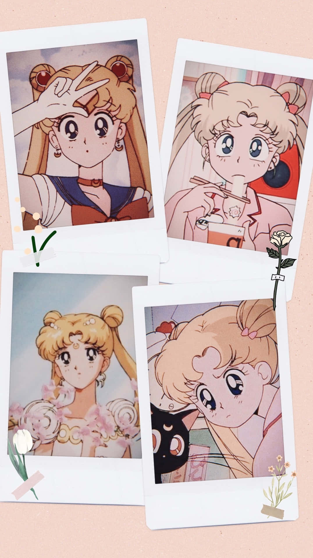 Fotosvon Sailor Moon-profilbildern Wallpaper