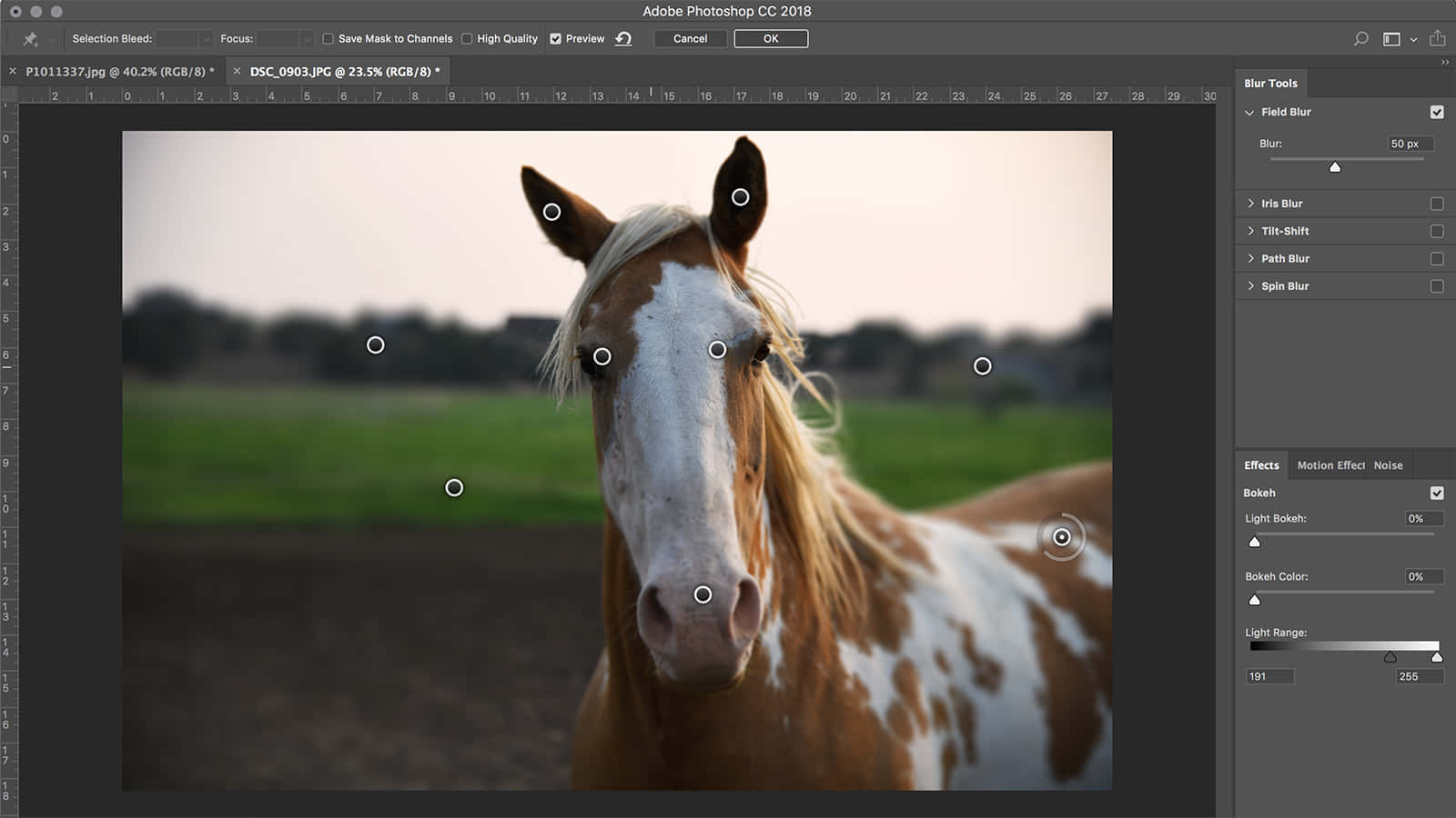 Photoshop Amerikansk Paint Horse velourstapet design. Wallpaper